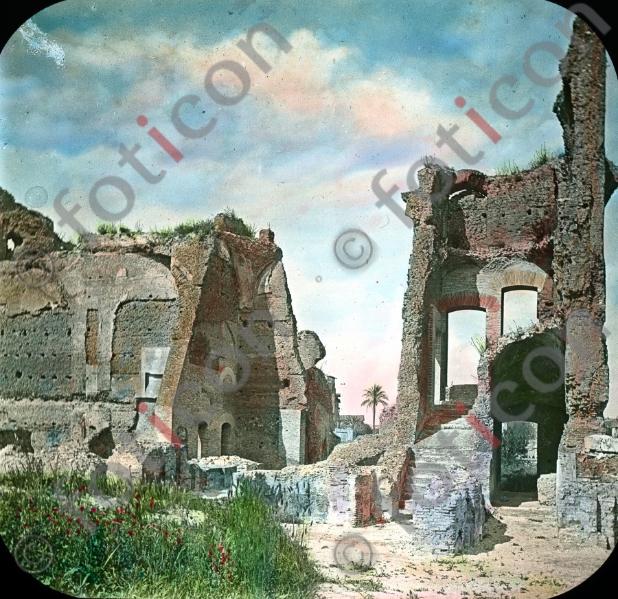 Ruinen auf dem Palatin (foticon-simon-033-046.jpg)